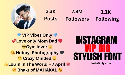 instagram vip bio stylish font love
