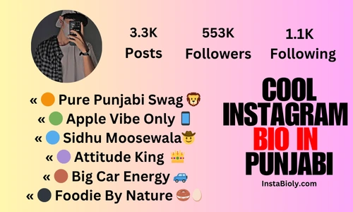 cool instagram bio ideas in punjabi