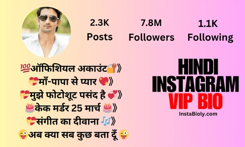 instagram vip bio hindi