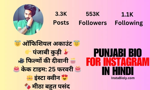 instagram bio punjabi in hindi