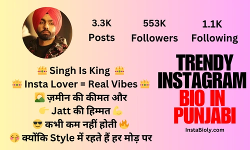 trendy instagram bio in punjabi