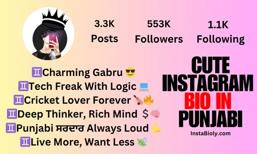 cute instagram bio for punjabi
