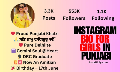 instagram bio for girls in punjabi