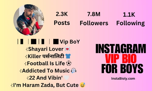 instagram vip bio for boy attitude