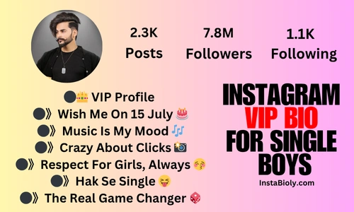 instagram vip bio single boy