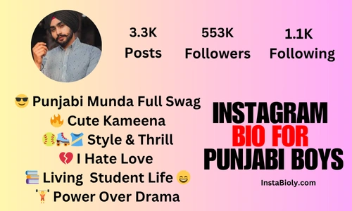 instagram bio in punjabi for boy