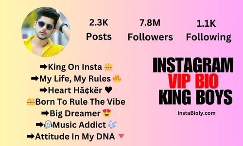 instagram vip bio king