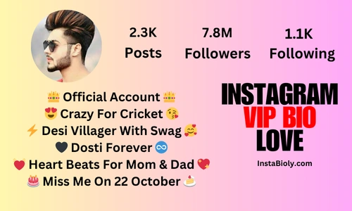 instagram vip bio love