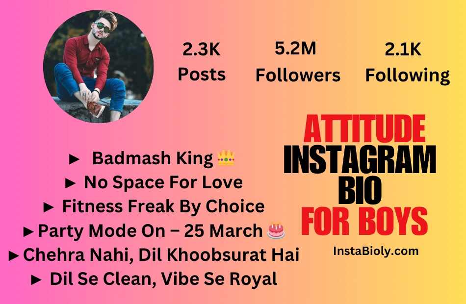 attitude instagram bio for boys