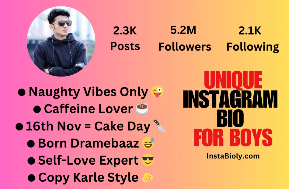 instagram bio for boys unique