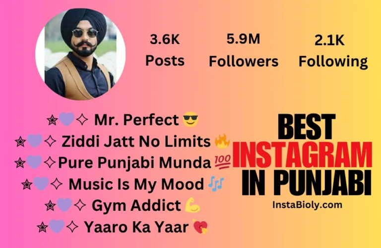 instagram bio in punjabi