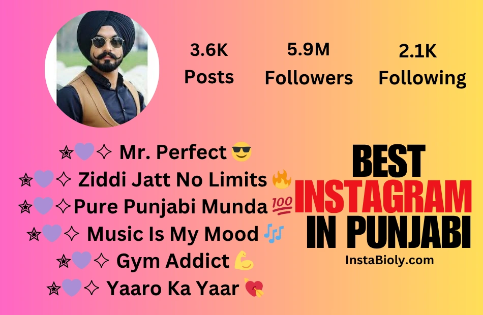 instagram bio in punjabi