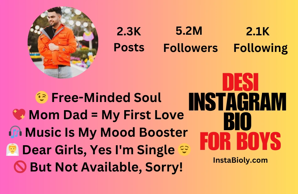 instagram bio for boys desi