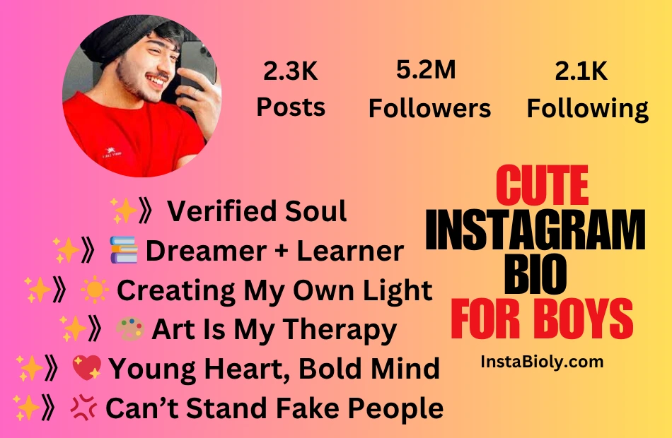 instagram bio for boys cute