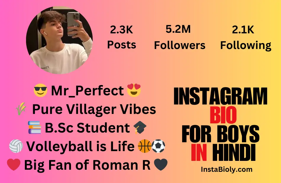 instagram bio for boys attitude in hindi