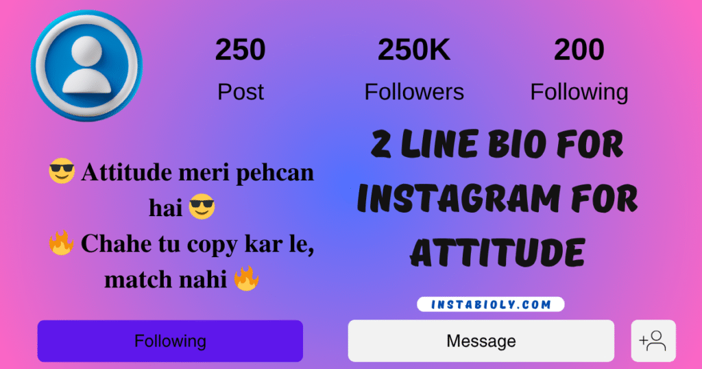 2 line bio for instagram for attitude