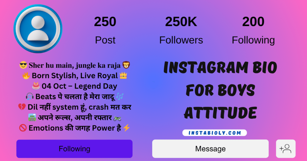 instagram bio for boys attitude