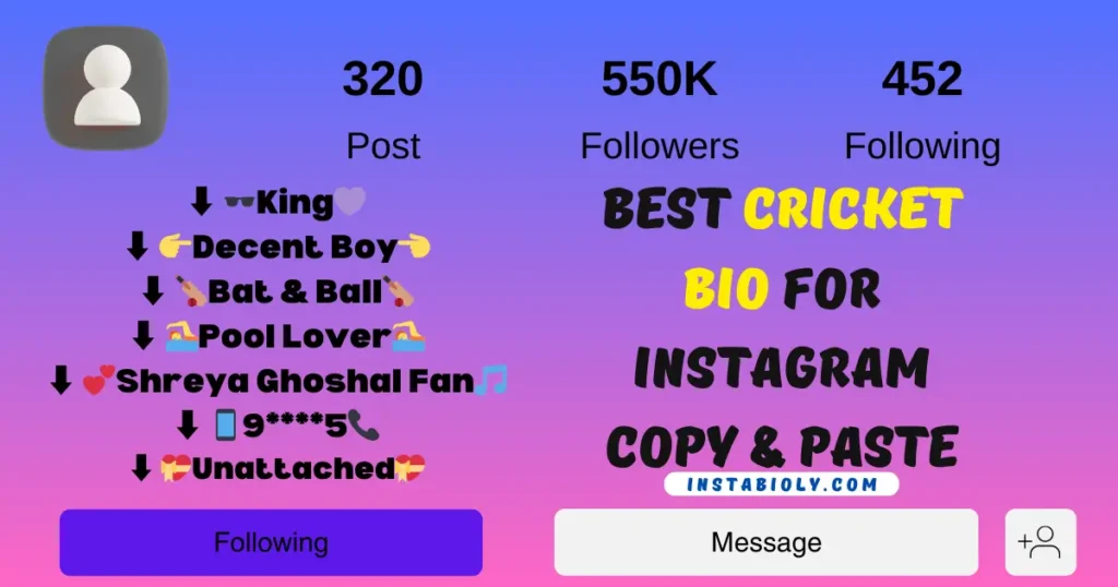 550+ Best Cricket Bio For Instagram | Cricket Lover Bio –(Boys & Girls) 3 cricket bio for instagram copy and paste