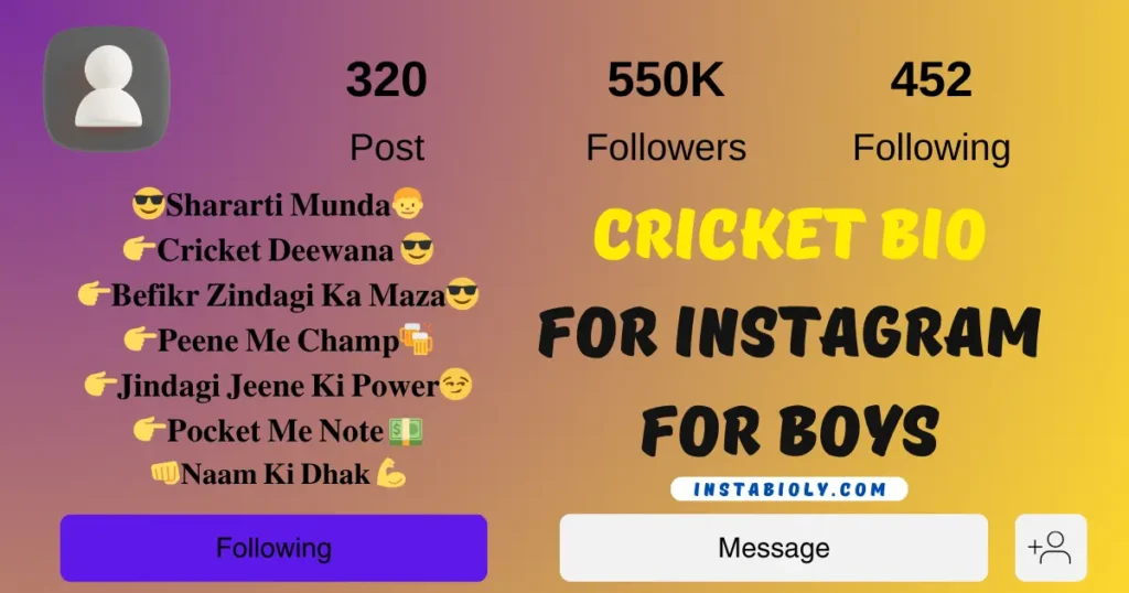 550+ Best Cricket Bio For Instagram | Cricket Lover Bio –(Boys & Girls) 4 cricket bio for instagram for boys
